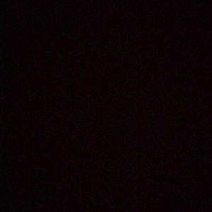 Meet your Posher, Bobbie